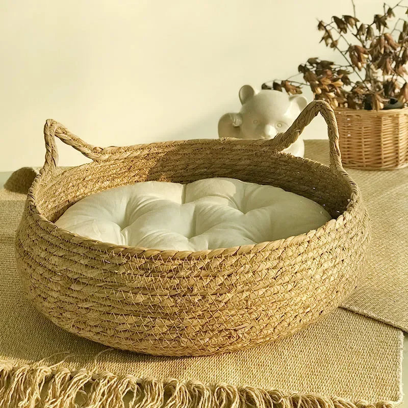 Cozy Nesting Cat Bed with Detachable Comfort Pad