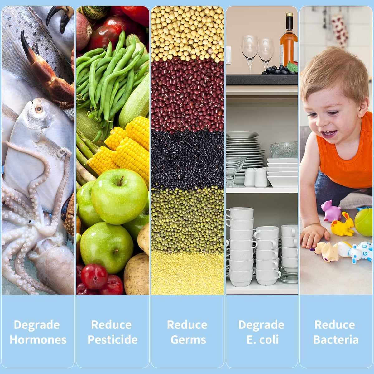 Effortless Freshness: Ultrasonic Produce Purifier