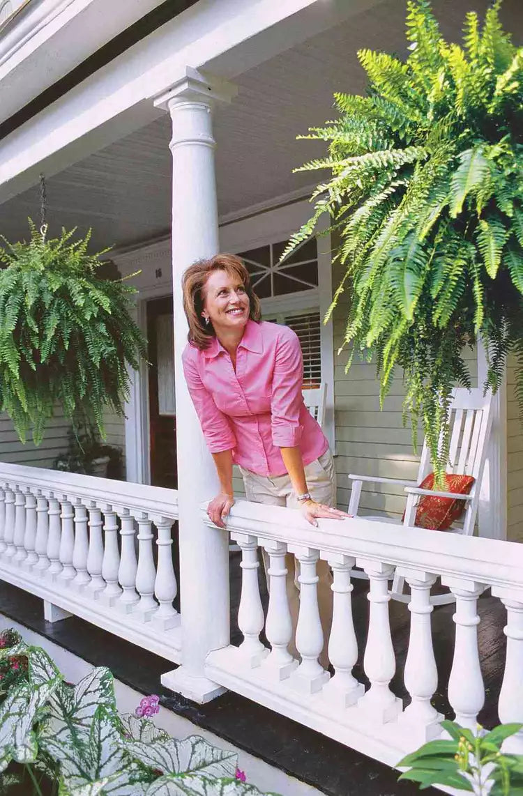 Evergreen Fern Collection - 18 Pack for Year-Round Beauty