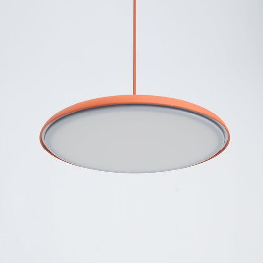 Adjustable Pendant Light in Coastal Transitional Style
