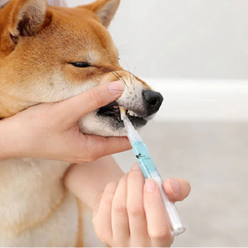 Natural Ingredients Dental Solution for Pets | Effective Teeth Stain Remover