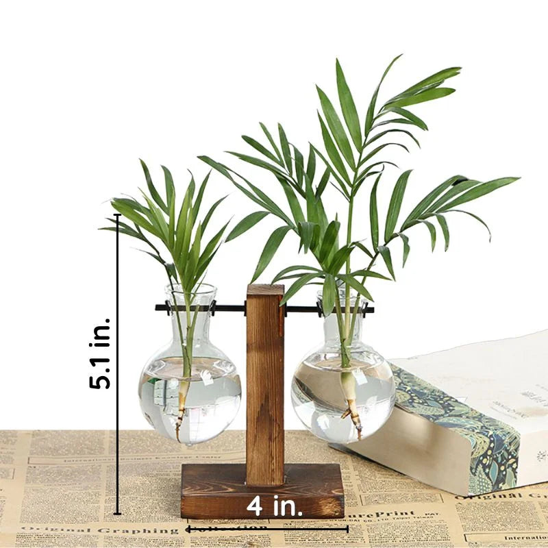 Hydroponic Wall Planter Vase in Wooden Frame – Soil-Free, Types A, B, C