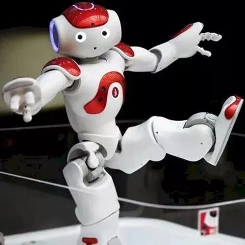 Interactive AI Companion Robot for Engaging Fun