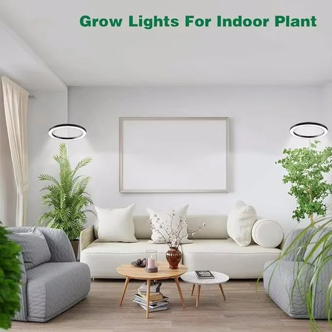 Adjustable Telescopic Stand LED Grow Light with Automatic Timer