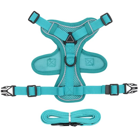 Adjustable Safety Harness and Leash for Cats with Reflective Safety Features