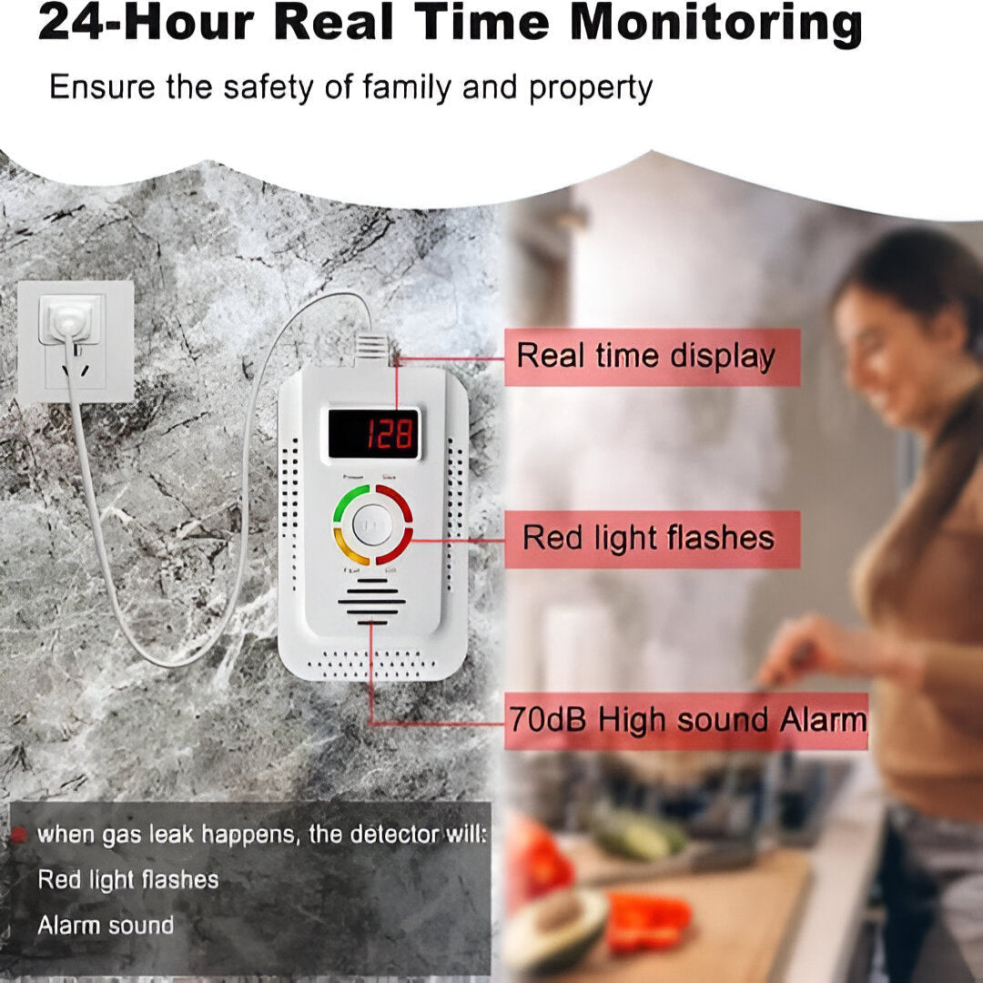 Reliable Gas and Carbon Monoxide Alert System with Display