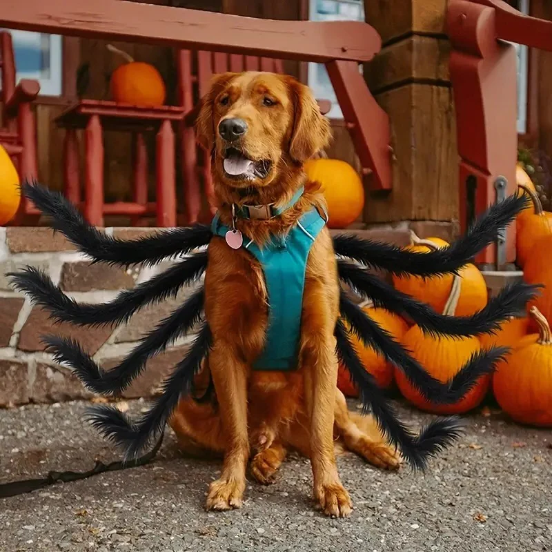 Creepy Crawler Pet Outfit with Eight Faux Legs and Adjustable Straps