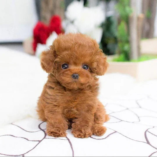Lifelike Cuddly Companion Plush Dog Toy