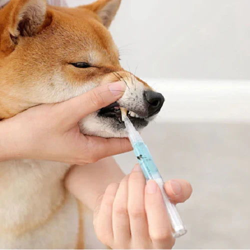 Natural Pet Dental Care Solution for Stain Removal and Gum Health