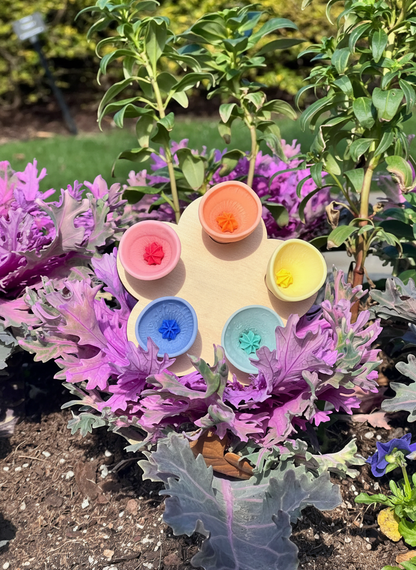 Set of 5 Porcelain Watering Cups for Bees