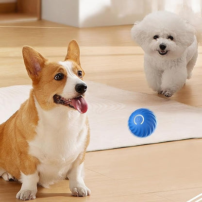 Dynamic Chase Dog Toy with Smart Navigation and Rechargeable Battery