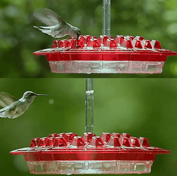 Attractive Hummingbird Feeder with Bee-Guard Ports and 30 Access Points