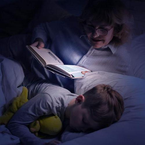 Portable LED Reading Light with Adjustable Brightness and Clip
