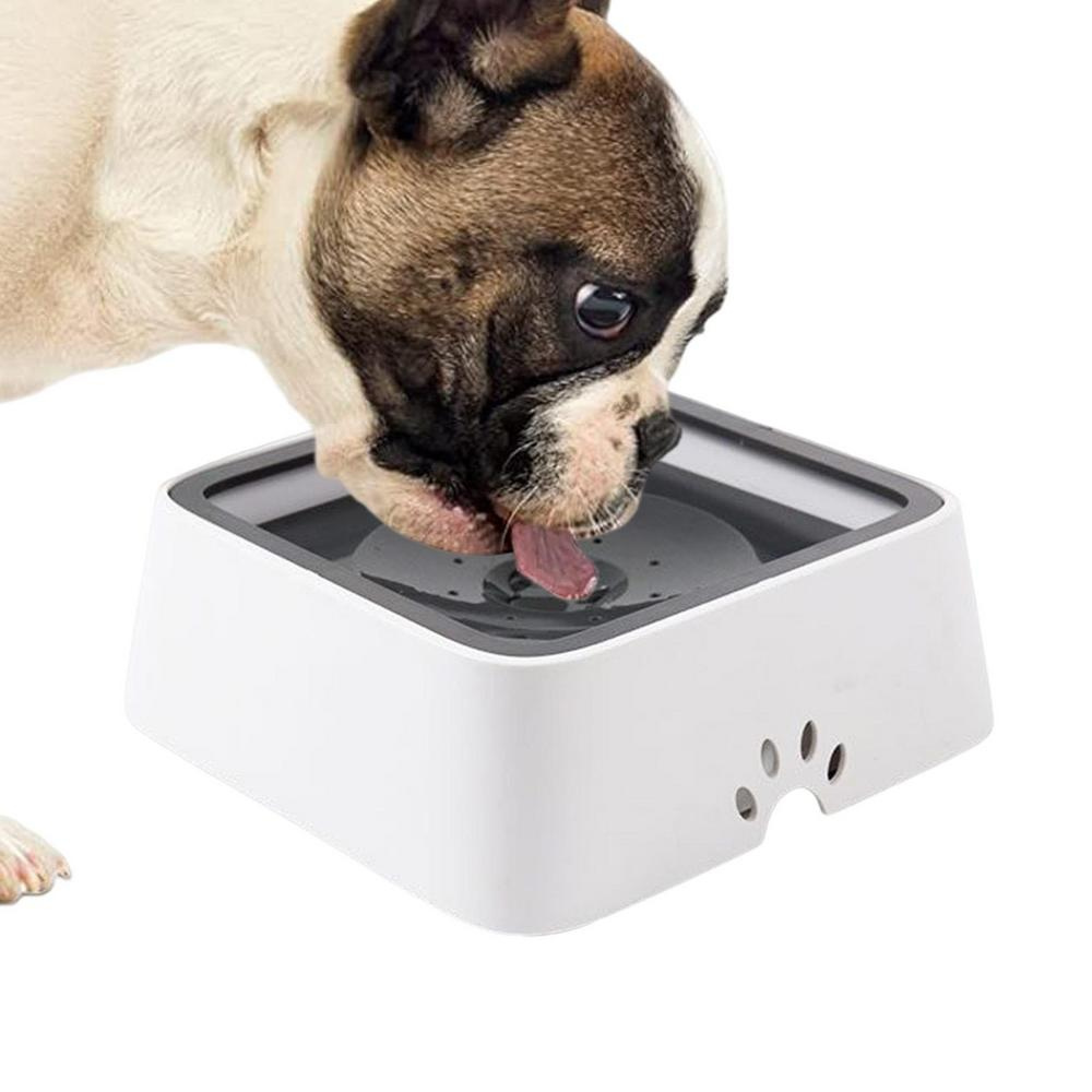 Pet Hydration Station with Splash-Proof Design, 1.5 Liter