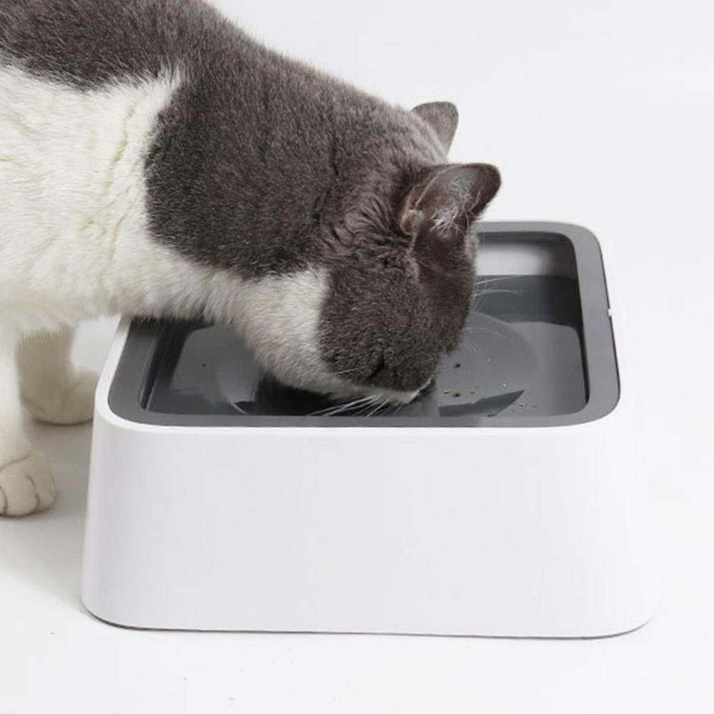 Pet Hydration Station with Splash-Proof Design, 1.5 Liter