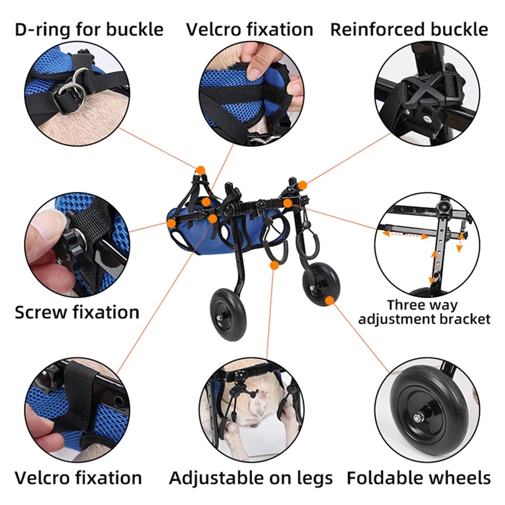 Versatile Pet Mobility Aid with Adjustable Support for Back Legs