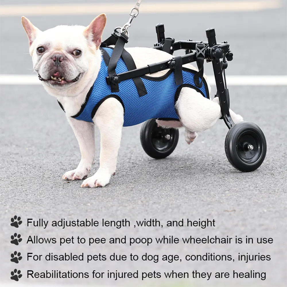 Versatile Pet Mobility Aid with Adjustable Support for Back Legs