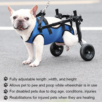 Versatile Pet Mobility Aid with Adjustable Support for Back Legs