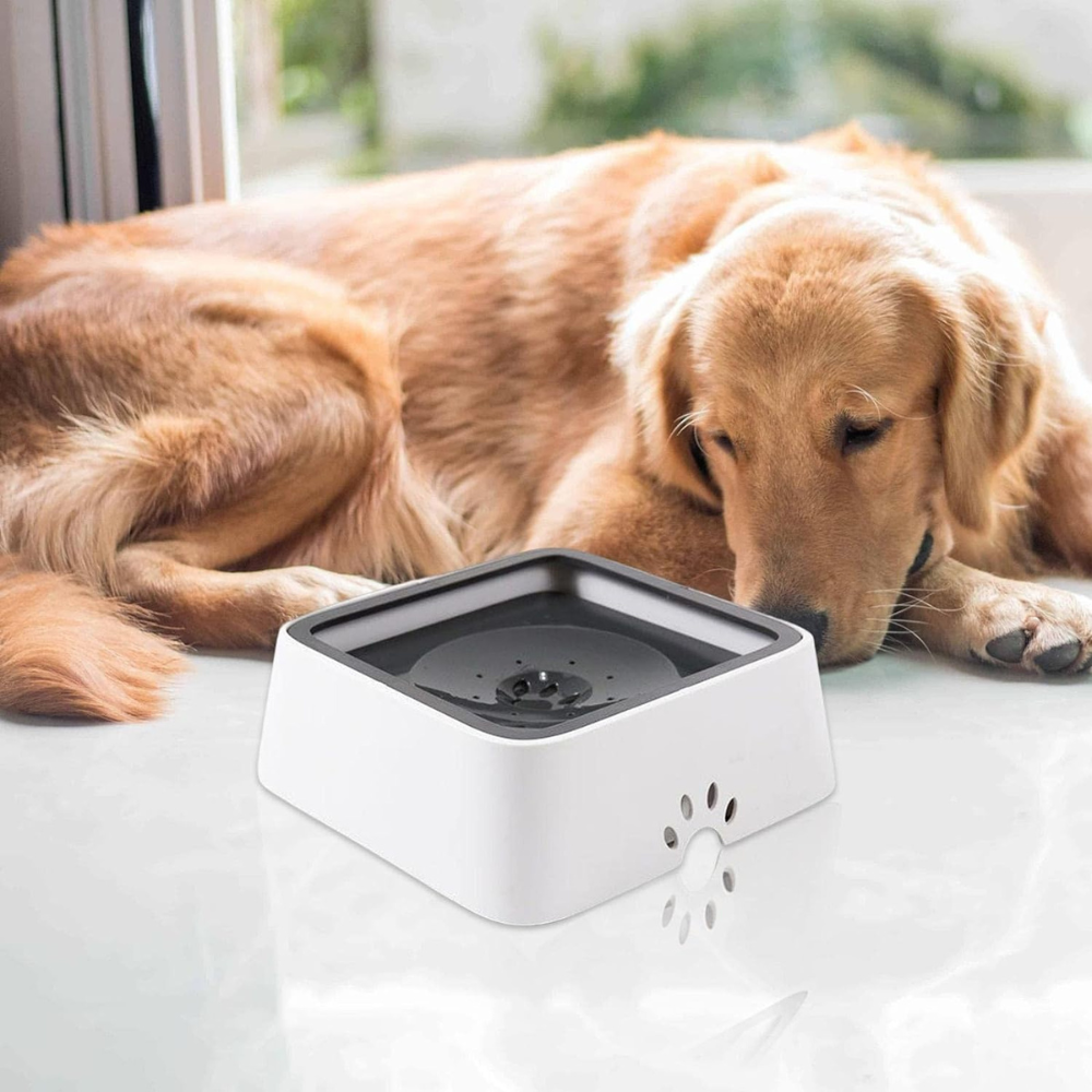 Pet Hydration Station with Splash-Proof Design, 1.5 Liter