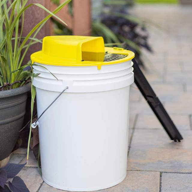 Mouse Trap with Automatic Bucket, Dual Climbing Ladders, and Self-Reset