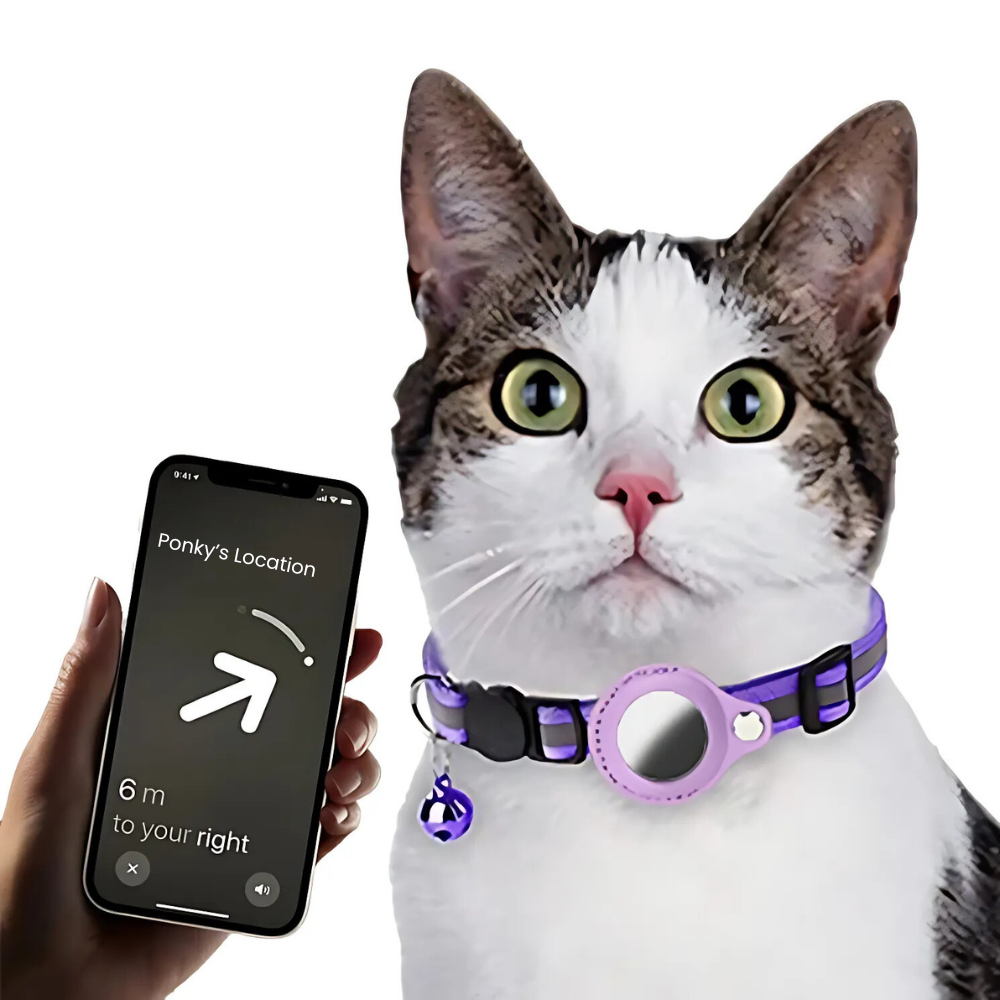 Adjustable Quick Release Nylon Collar for Dogs and Cats with AirTag Holder, Waterproof and Reflective