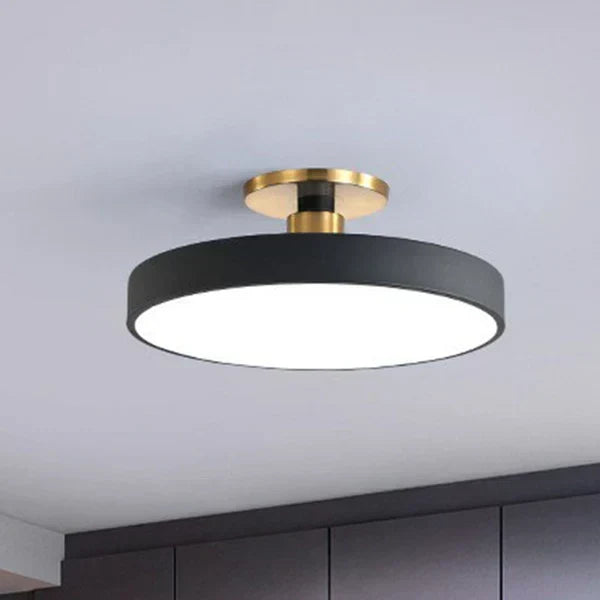 Round Flush Mount Ceiling Light with Minimalist Design