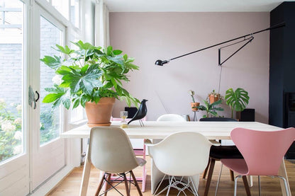 Versatile Wall-Mounted Lamp with Flexible Arm and Weight Balance