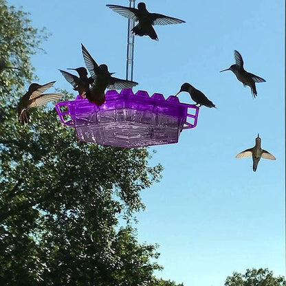 Attractive Hummingbird Feeder with Bee-Guard Ports and 30 Access Points