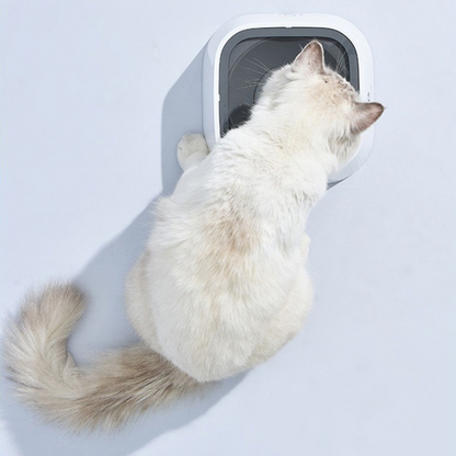 Pet Hydration Station with Splash-Proof Design, 1.5 Liter