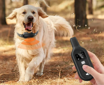 Dog Training Collar with Remote Control