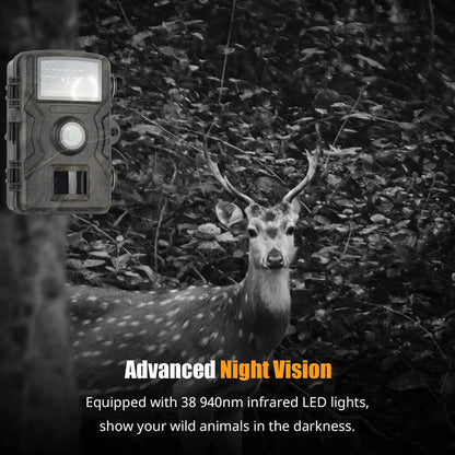 Ultra-Clear 1080P Night Vision Wildlife Camera