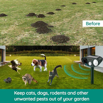 Eco-Friendly Sonic Armadillo Deterrent Device