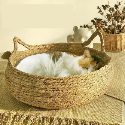 Cozy Nesting Cat Bed with Detachable Comfort Pad