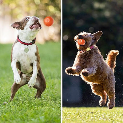 Dynamic Chase Dog Toy with Smart Navigation and Rechargeable Battery