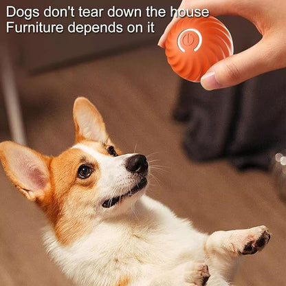 Dynamic Chase Dog Toy with Smart Navigation and Rechargeable Battery