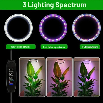Adjustable Telescopic Stand LED Grow Light with Automatic Timer