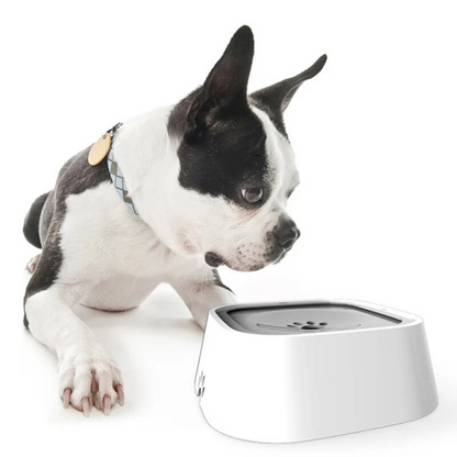Pet Hydration Station with Splash-Proof Design, 1.5 Liter