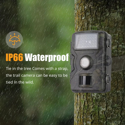 Ultra-Clear 1080P Night Vision Wildlife Camera