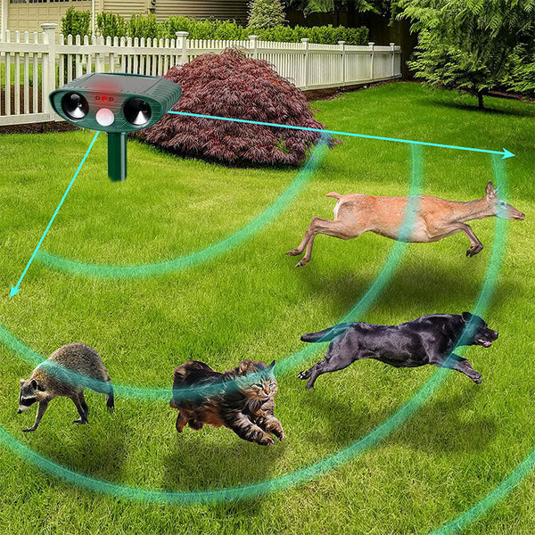 Eco-Friendly Sonic Armadillo Deterrent Device
