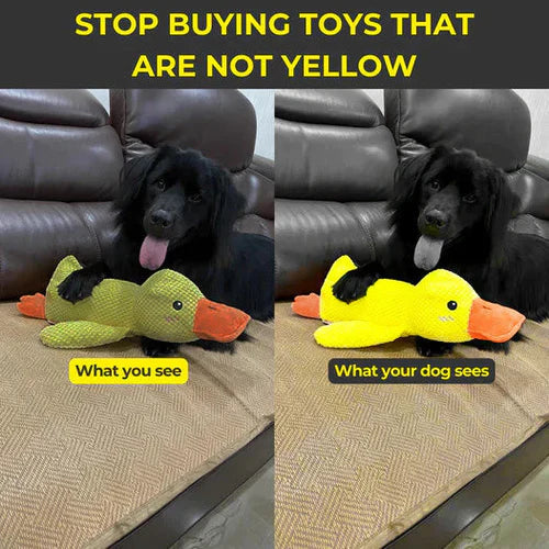Squeaky Duck Companion Toy for Dogs with Reinforced Design
