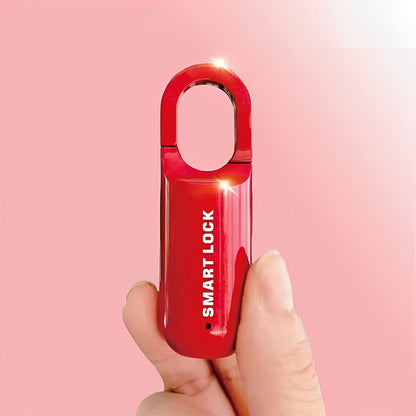 Smart Fingerprint Lock with 10-User Access and Durable Design