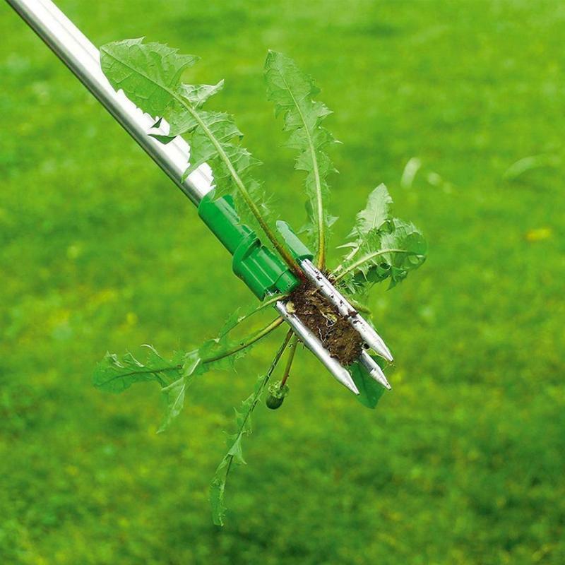Ergonomic Weed Extractor with Steel Claw Mechanism, 50cm Handle