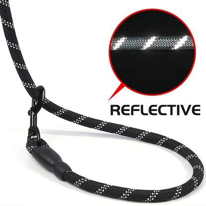 Reflective Dog Leash with Soft Grip & Enhanced Durability