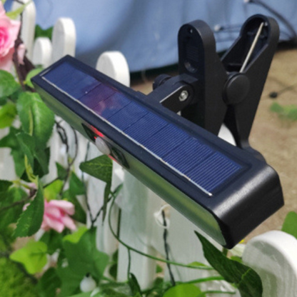 Solar Outdoor Garden Light with Motion Detection – Waterproof and Wireless