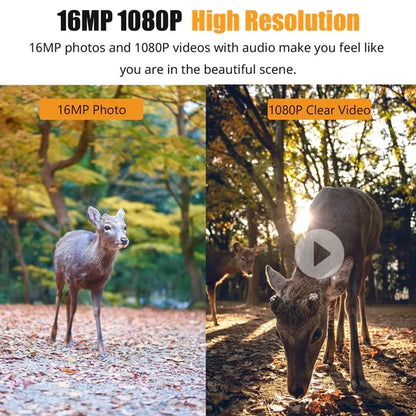 Ultra-Clear 1080P Night Vision Wildlife Camera