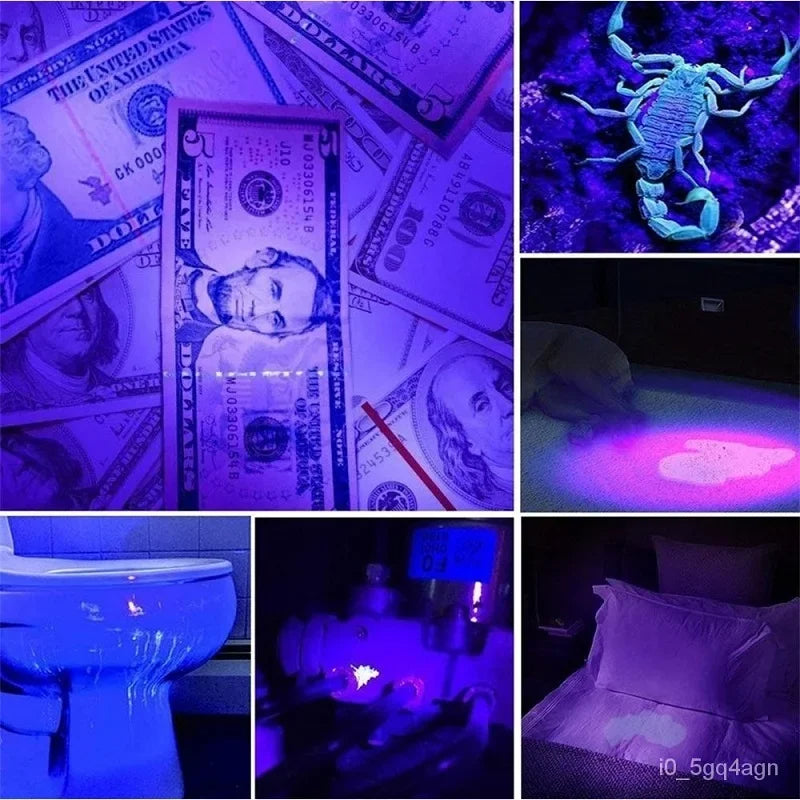 395nm UV Black Light Flashlight with 100 LEDs for Bed Bug Detection and Pet Urine Stains