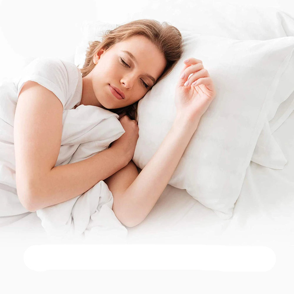 Standard Pillow Protector with Waterproof Zipper, 19.6 x 27.5 Inches, Washable