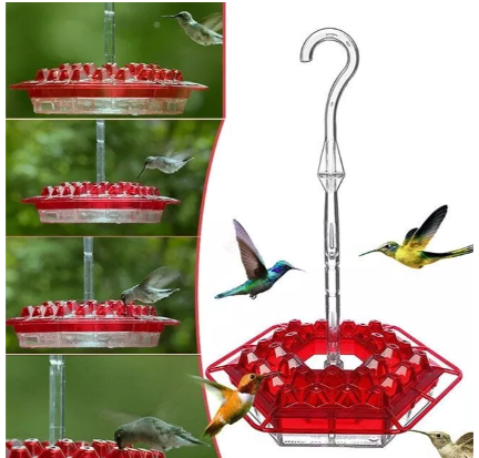 Attractive Hummingbird Feeder with Bee-Guard Ports and 30 Access Points
