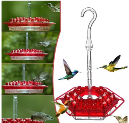 Attractive Hummingbird Feeder with Bee-Guard Ports and 30 Access Points