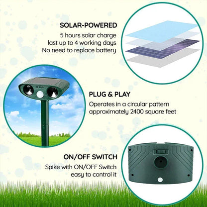 Eco-Friendly Sonic Armadillo Deterrent Device